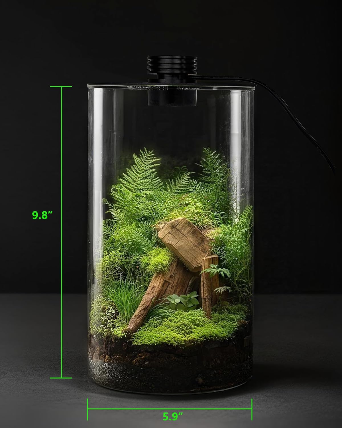 Indoor Glass Terrarium with Gr - Office Lighting Decor ulasan dan harga