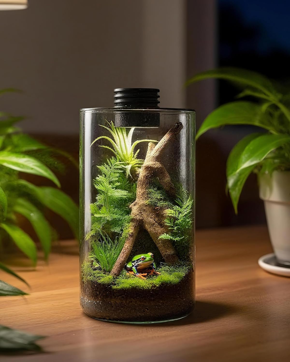 Indoor Glass Terrarium with Gr - Office Lighting Decor ulasan dan harga