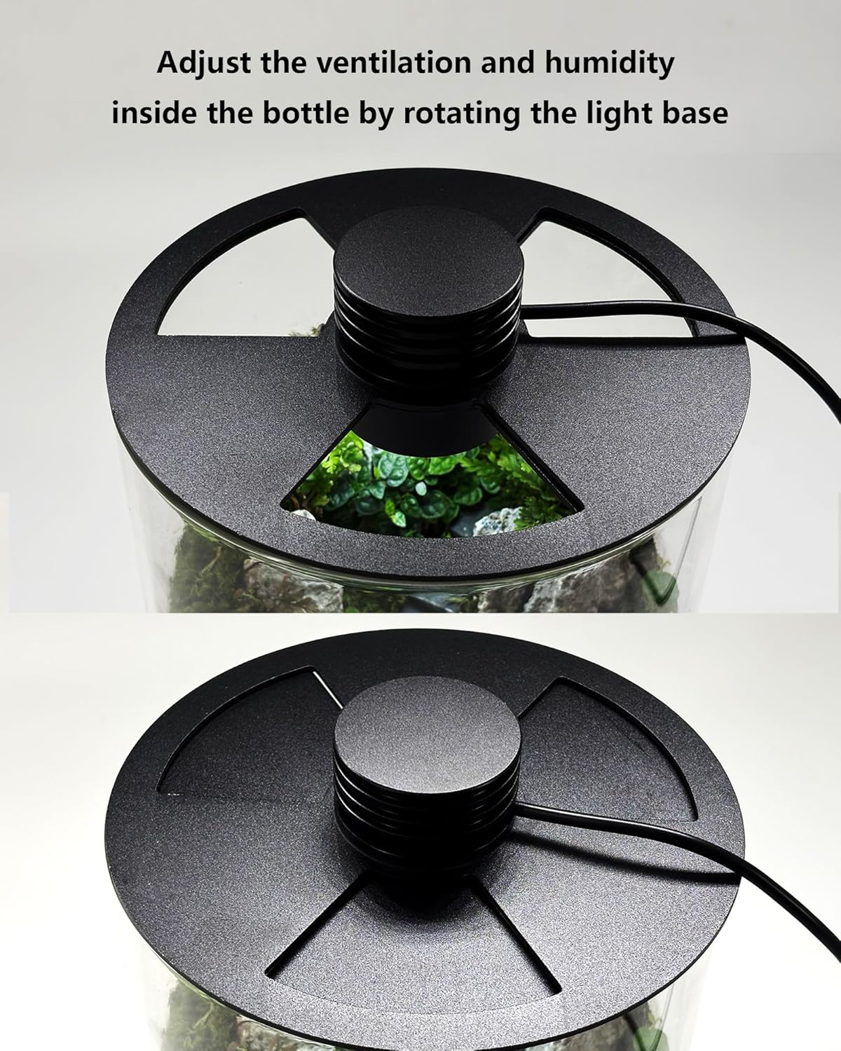 Indoor Glass Terrarium with Gr - Office Lighting Decor ulasan dan harga